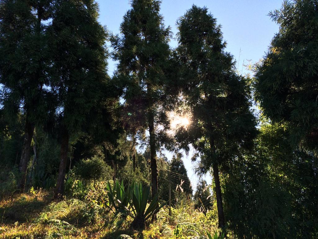 Deolo Cliff Eco Resort Kalimpong Exteriér fotografie