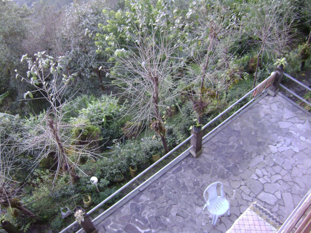 Deolo Cliff Eco Resort Kalimpong Exteriér fotografie